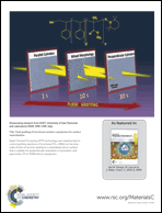 Graphical abstract: Back cover