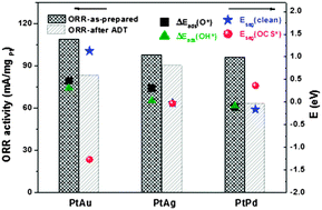 Graphical abstract: The performance and stability of the oxygen reduction reaction on Pt–M (M = Pd, Ag and Au) nanorods: an experimental and computational study