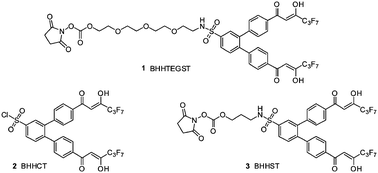 Graphical abstract: A novel biocompatible europium ligand for sensitive time-gated immunodetection