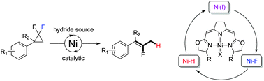 Graphical abstract: Catalytic C–F bond activation of geminal difluorocyclopropanes by nickel(i) complexes via a radical mechanism