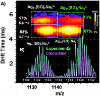 Graphical abstract: Possible isomers in ligand protected Ag11 cluster ions identified by ion mobility mass spectrometry and fragmented by surface induced dissociation