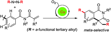 Graphical abstract: Aerobic oxidative cyclization of benzamides via meta-selective C–H tert-alkylation: rapid entry to 7-alkylated isoquinolinediones