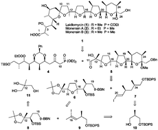 Graphical abstract: Total synthesis of laidlomycin