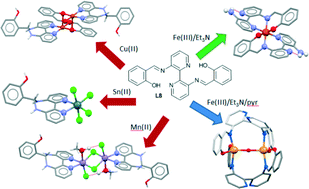 Graphical abstract: Structural insights into the coordination chemistry and reactivity of a 3,3′-bis-imine-2,2′-bipyridine ligand
