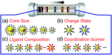 Graphical abstract: High-resolution separation of thiolate-protected gold clusters by reversed-phase high-performance liquid chromatography