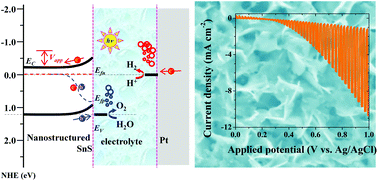 Graphical abstract: Nanostructured SnS with inherent anisotropic optical properties for high photoactivity