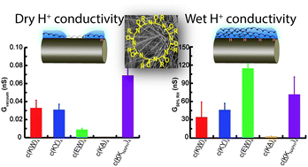 Graphical abstract: Sequence dependent proton conduction in self-assembled peptide nanostructures