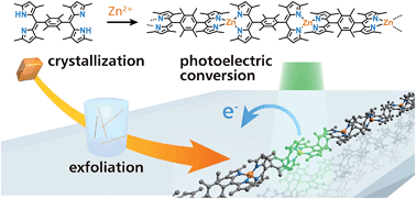 Graphical abstract: Bis(dipyrrinato)metal(ii) coordination polymers: crystallization, exfoliation into single wires, and electric conversion ability