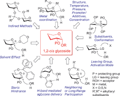 Graphical abstract: Stereocontrolled 1,2-cis glycosylation as the driving force of progress in synthetic carbohydrate chemistry