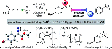 Graphical abstract: Using IR vibrations to quantitatively describe and predict site-selectivity in multivariate Rh-catalyzed C–H functionalization