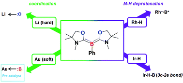 Graphical abstract: Diverse reactivity of a tricoordinate organoboron L2PhB: (L = oxazol-2-ylidene) towards alkali metal, group 9 metal, and coinage metal precursors