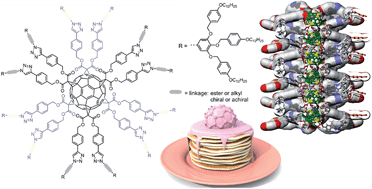 Graphical abstract: Self-organisation of dodeca-dendronized fullerene into supramolecular discs and helical columns containing a nanowire-like core