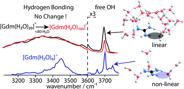 Graphical abstract: Hydration of guanidinium depends on its local environment