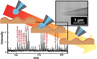 Graphical abstract: Nanopipettes: probes for local sample analysis