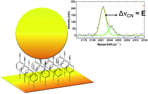 Graphical abstract: Alkyl-nitrile adlayers as probes of plasmonically induced electric fields