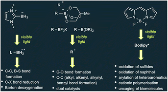 Graphical abstract: Boron chemistry in a new light