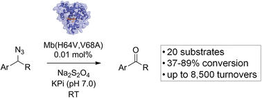 Graphical abstract: Efficient conversion of primary azides to aldehydes catalyzed by active site variants of myoglobin