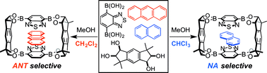 Graphical abstract: Switching of the solid-state guest selectivity: solvent-dependent selective guest inclusion in a crystalline macrocyclic boronic ester
