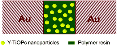 Graphical abstract: A highly sensitive near-infrared organic photodetector based on oxotitanium phthalocyanine nanocrystals and light-induced enhancement of electron tunnelling