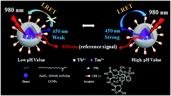 Graphical abstract: Dye-conjugated upconversion nanoparticles for ratiometric imaging of intracellular pH values