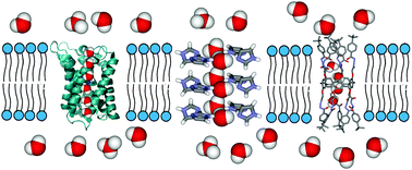 Graphical abstract: Artificial water channels – incipient innovative developments