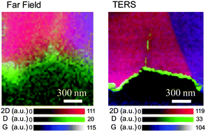 Graphical abstract: Nanoscale mapping of intrinsic defects in single-layer graphene using tip-enhanced Raman spectroscopy