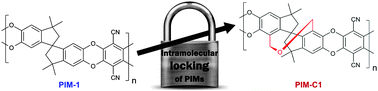 Graphical abstract: The enhancement of chain rigidity and gas transport performance of polymers of intrinsic microporosity via intramolecular locking of the spiro-carbon