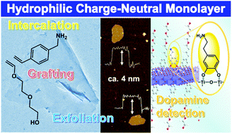Graphical abstract: Surface-functionalized hydrophilic monolayer of titanate and its application for dopamine detection