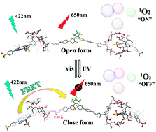Graphical abstract: A highly efficient supramolecular photoswitch for singlet oxygen generation in water
