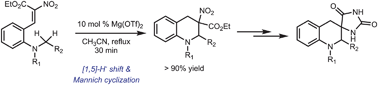 Graphical abstract: Expedient synthesis of tetrahydroquinoline-3-spirohydantoin derivatives via the Lewis acid-catalyzed tert-amino effect reaction