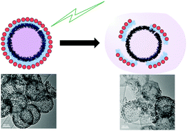 Graphical abstract: Photothermally responsive gold nanoparticle conjugated polymer-grafted porous hollow silica nanocapsules