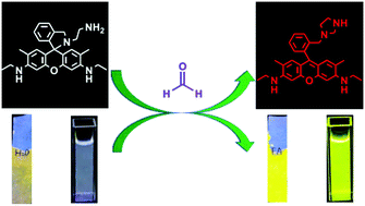Graphical abstract: An ultra-fast illuminating fluorescent probe for monitoring formaldehyde in living cells, shiitake mushrooms, and indoors