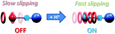 Graphical abstract: Self-assembly of pseudo-rotaxane and rotaxane complexes using an electrostatic slippage approach