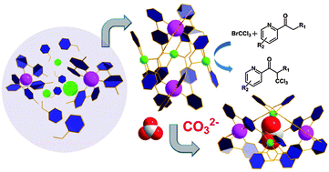 Graphical abstract: Engineering an iridium-containing metal–organic molecular capsule for induced-fit geometrical conversion and dual catalysis