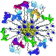 Graphical abstract: Dynamic nanoproteins: self-assembled peptide surfaces on monolayer protected gold nanoparticles