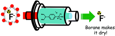 Graphical abstract: [18F]-Fluoride capture and release: azeotropic drying free nucleophilic aromatic radiofluorination assisted by a phosphonium borane