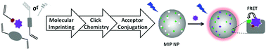 Graphical abstract: A modular approach for assembling turn-on fluorescence sensors using molecularly imprinted nanoparticles