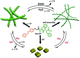 Graphical abstract: Photo/chemo dual-controlled reversible morphological conversion and chiral modulation of supramolecular nanohelixes with nanosquares and nanofibers