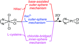 Graphical abstract: A computational mechanistic investigation into the reduction of Pt(iv) prodrugs with two axial chlorides by biological reductants