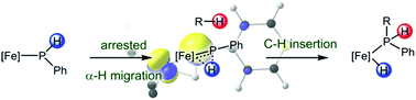 Graphical abstract: Arrested α-hydride migration activates a phosphido ligand for C–H insertion