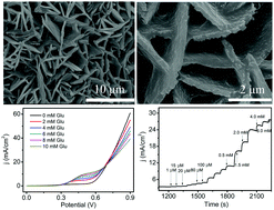 Graphical abstract: Ternary NiCoP nanosheet array on a Ti mesh: a high-performance electrochemical sensor for glucose detection