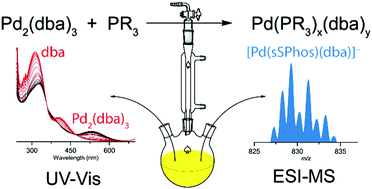Graphical abstract: Real-time analysis of Pd2(dba)3 activation by phosphine ligands