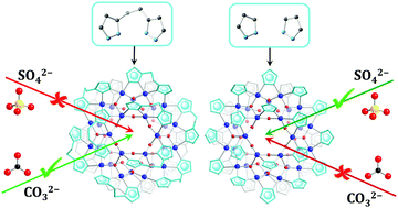 Graphical abstract: Accessing the inaccessible: discrete multinuclear coordination complexes and selective anion binding attainable only by tethering ligands together