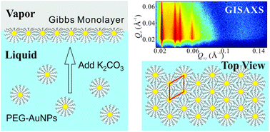 Graphical abstract: Macroscopic and tunable nanoparticle superlattices