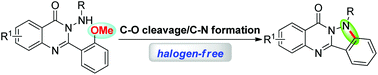 Graphical abstract: Copper-catalyzed C–O bond cleavage and cyclization: synthesis of indazolo[3,2-b]quinazolinones