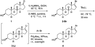 Graphical abstract: Pd-mediated cross-coupling of C-17 lithiated androst-16-en-3-ol – access to functionalized arylated steroid derivatives