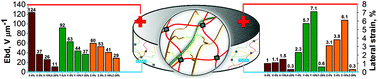 Graphical abstract: Interpenetrating poly(urethane-urea)–polydimethylsiloxane networks designed as active elements in electromechanical transducers