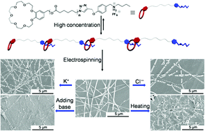 Graphical abstract: Multi-stimuli responsive supramolecular polymers and their electrospun nanofibers