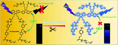 Graphical abstract: A water-soluble conjugated polymer with azobenzol side chains based on “turn-on” effect for hypoxic cell imaging