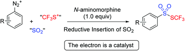 Graphical abstract: Reductive insertion of sulfur dioxide for the synthesis of trifluoromethyl thiolsulphonates through a one-pot reaction of aniline and trifluoromethanesulfanylamide